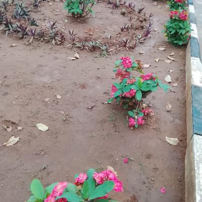 Img 20250813 Wa0119